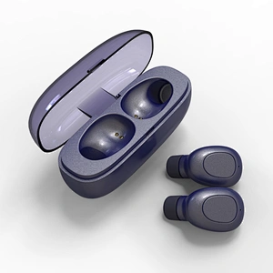 Promotion Gift Portable Wireless TWS 5.0 Earphone with Charging Case