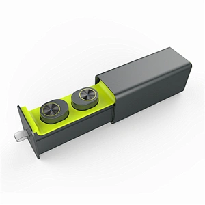 Newest BT V5.0 GW10 Portable Ture Wireless TWS Twins Earbuds