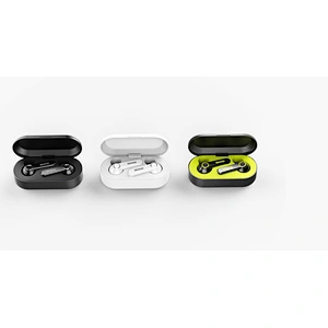 TWS  In Ear Bluetooth 5.0 True Wireless Earbuds with charging case
