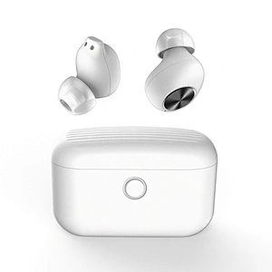 2019 Custom OEM Invisible BT5.0 Cordless Dual Ear True Wireless  In Ear Stereo Bass Bluetooth TWS Earbuds
