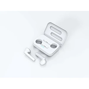 BT V5.0 sport in ear TWS Earphones true Wireless Earbuds TWS 5.0 Headphones