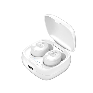 True wireless BT 5.0 in ear mini wireles bluetooth oem tws earbuds