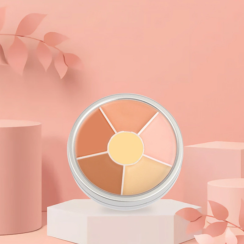 Wholesale Private Label 6 Color Concealer Palette Makeup Contour Palette Face Concealer