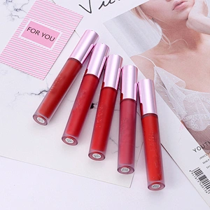 Wholesale High Quality Matte Nude Liquid Lipstick Private Label Lip Gloss Waterproof Vegan Cosmetics
