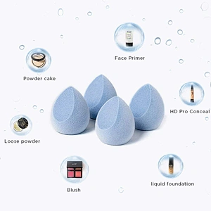 Wholesale 2021  International Hot Sale Makeup Sponge Set Microfiber Velvet Classic Design Sponge Makeup Sponge Set