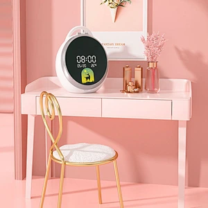 Makeup organizer for vanity