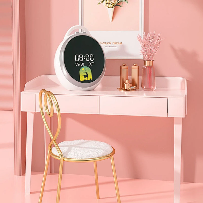 Makeup organizer for vanity