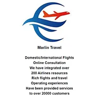 Domestic/International Flights