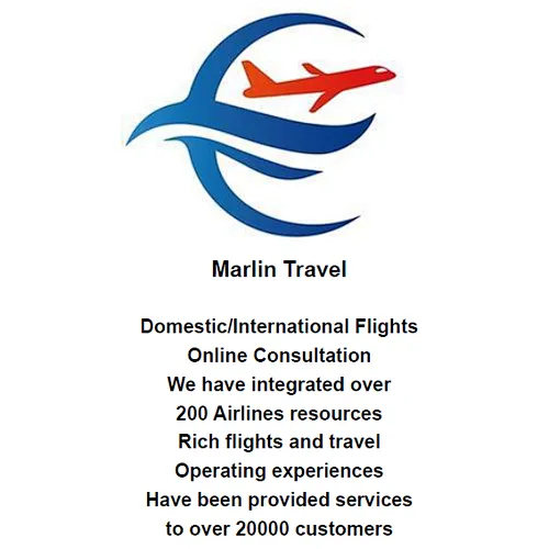 Domestic/International Flights