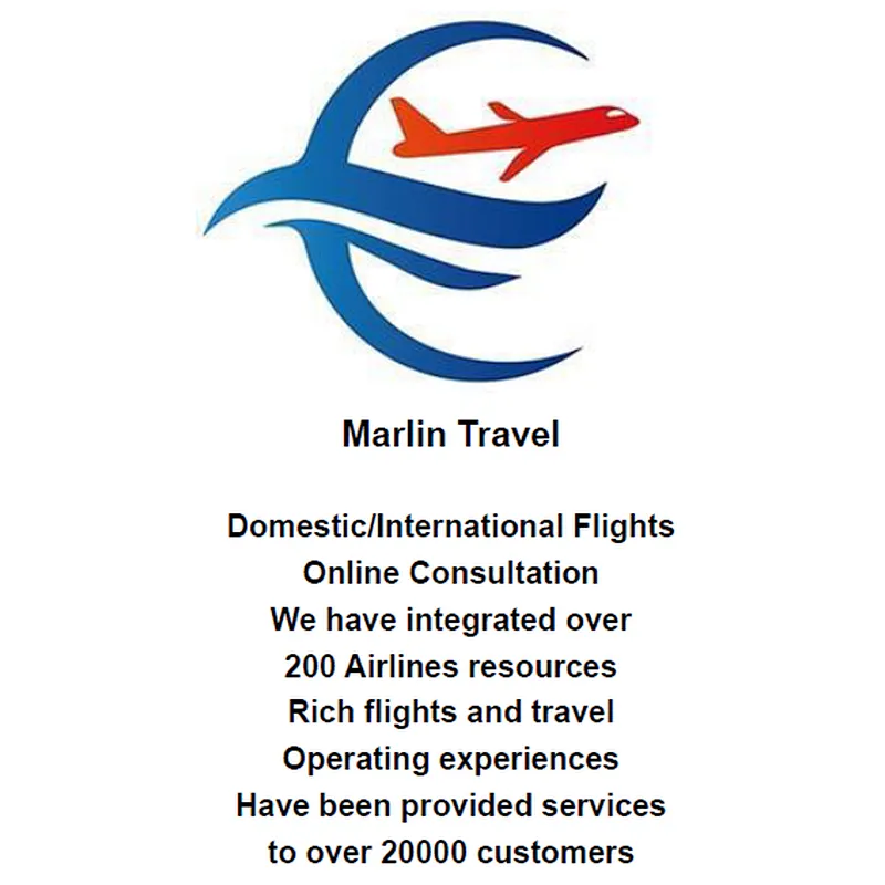 Domestic/International Flights