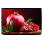 10.1 inch VVX10T025J00 Rerolution 2560x1600 lcd display panel lcd display panel 2560x1600 10.1inch  lcd panel