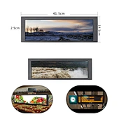 dvi monitor interface