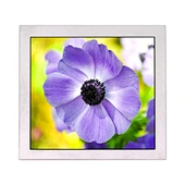 5.0inch PD050OX5 480X480 LCD Screen lcd screen screen guard lcd screen