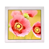 PD050OX5 5" lcd