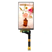 5.5 inch lcd panel