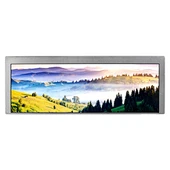 9.1" LQ091B1LW01 822X260 Strip LCD Screen lcd strip screen