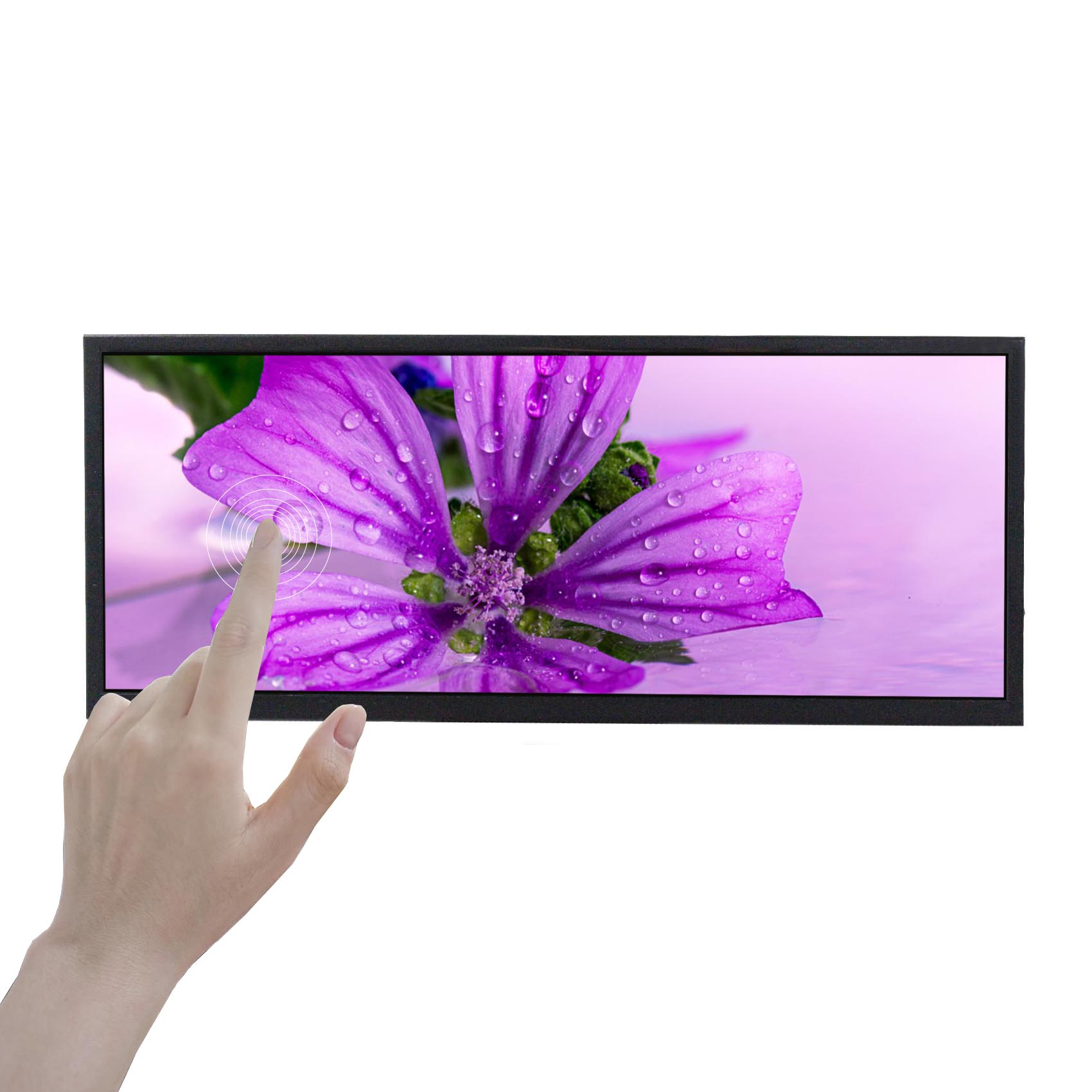 zm8RH6FBmT.jpg?imageMogr2/