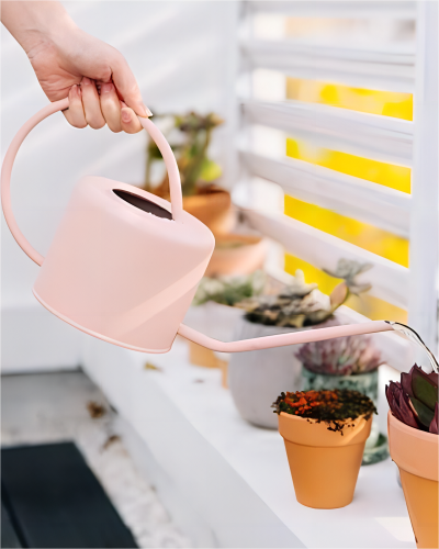 house plant watering can