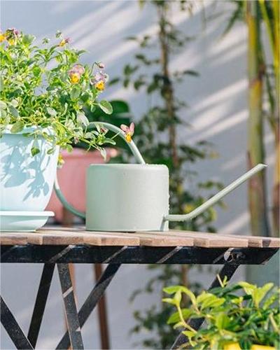 indoor plant watering can