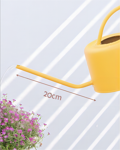 indoor plant watering can