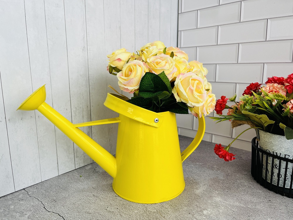 home depot watering can