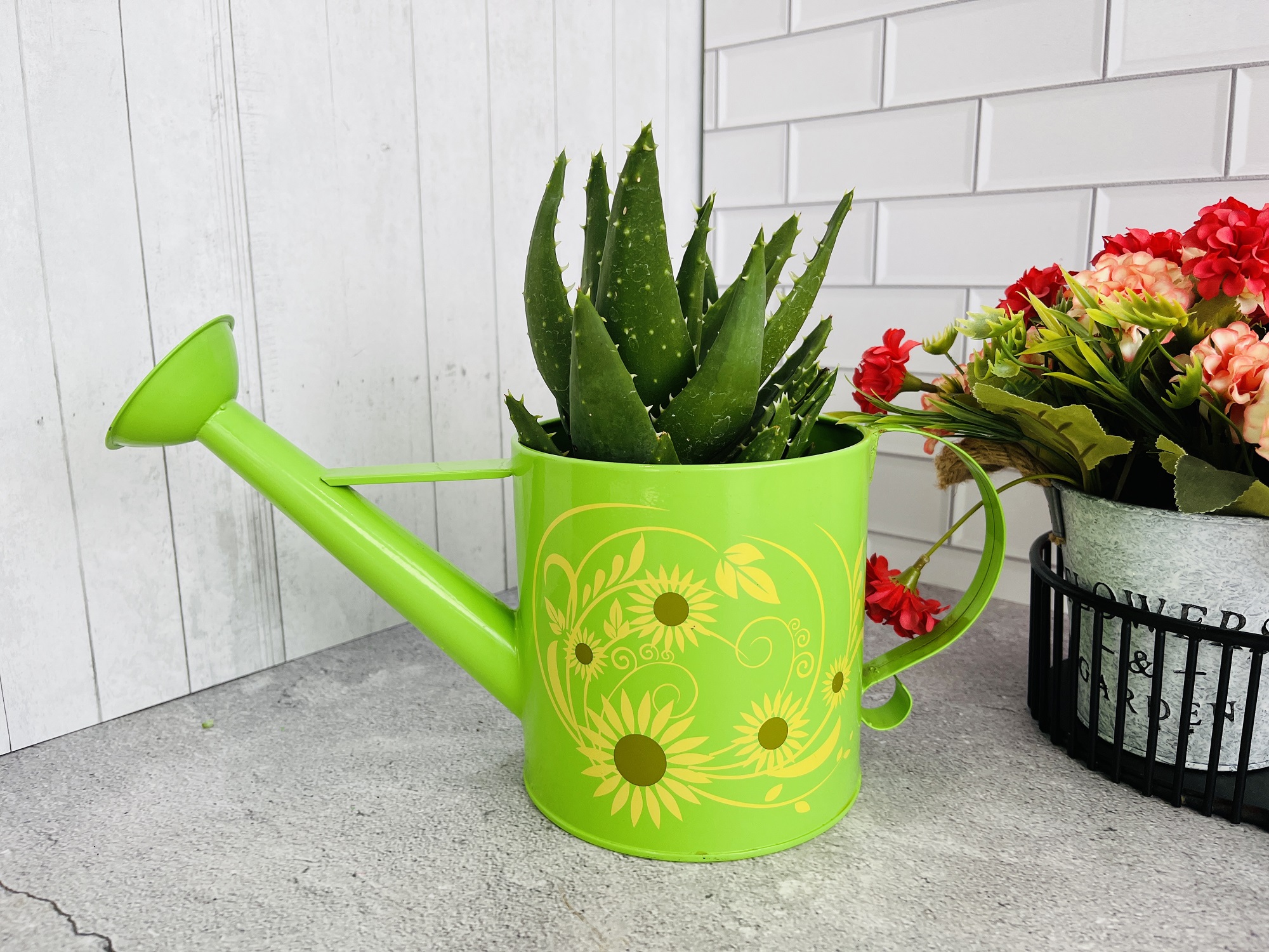 funny watering can