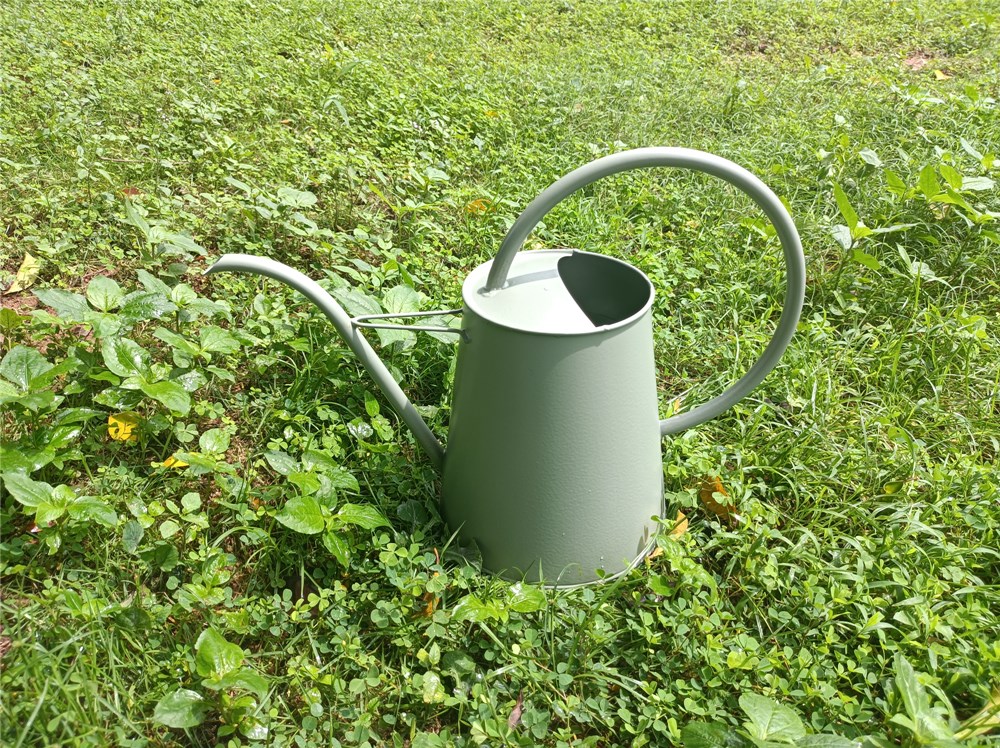 indoor plant watering can