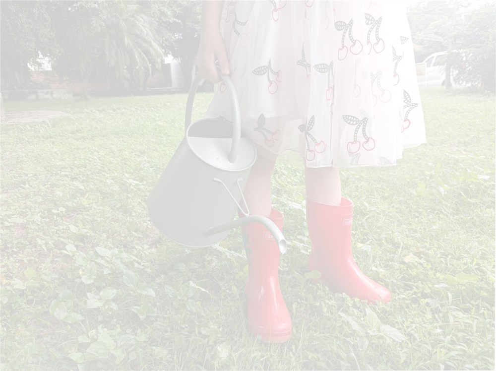 indoor plant watering can