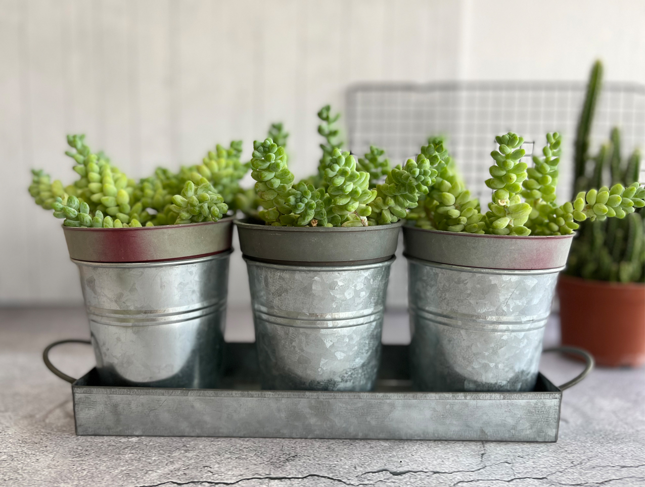 flower pot holder