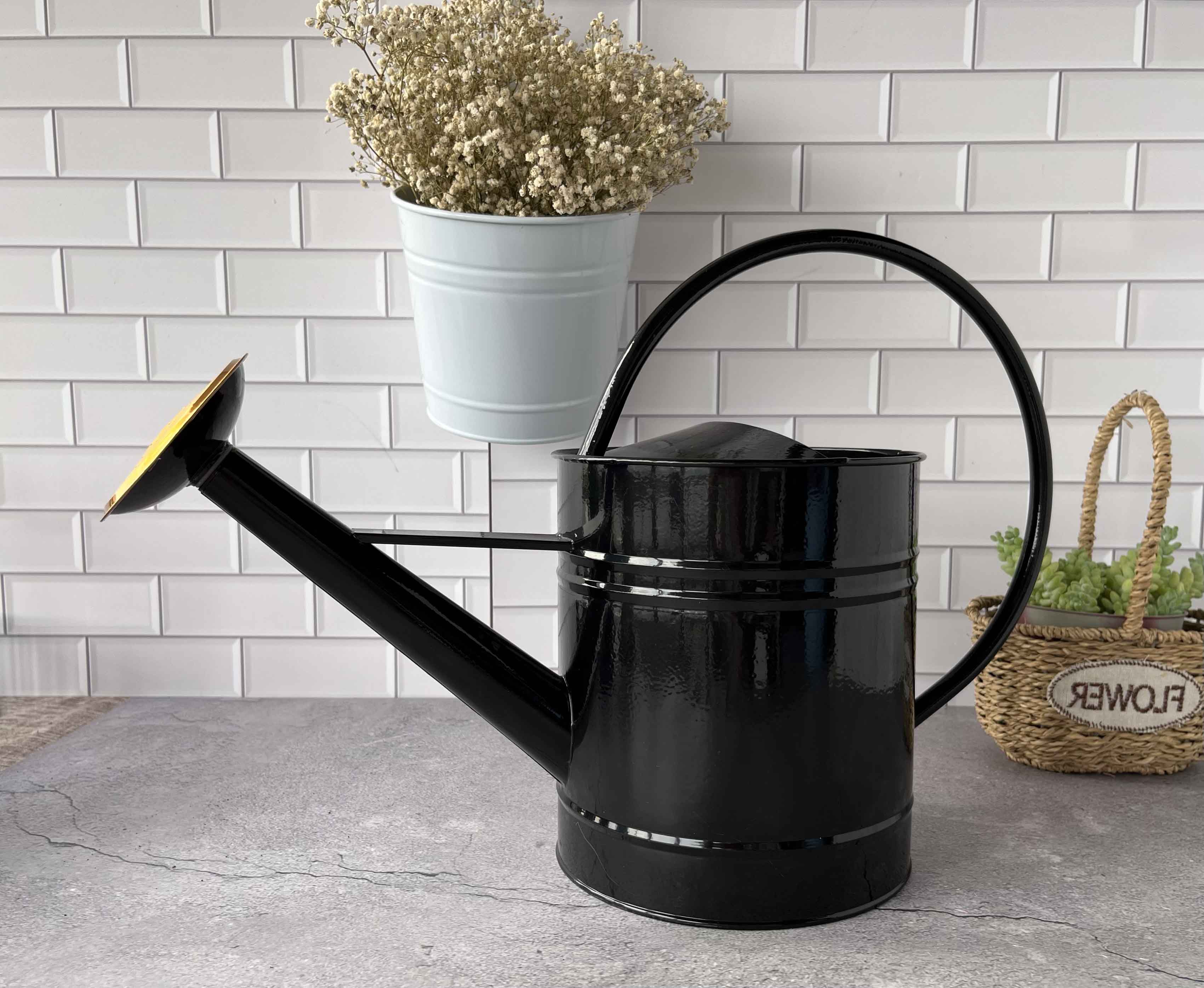 watering can lowes