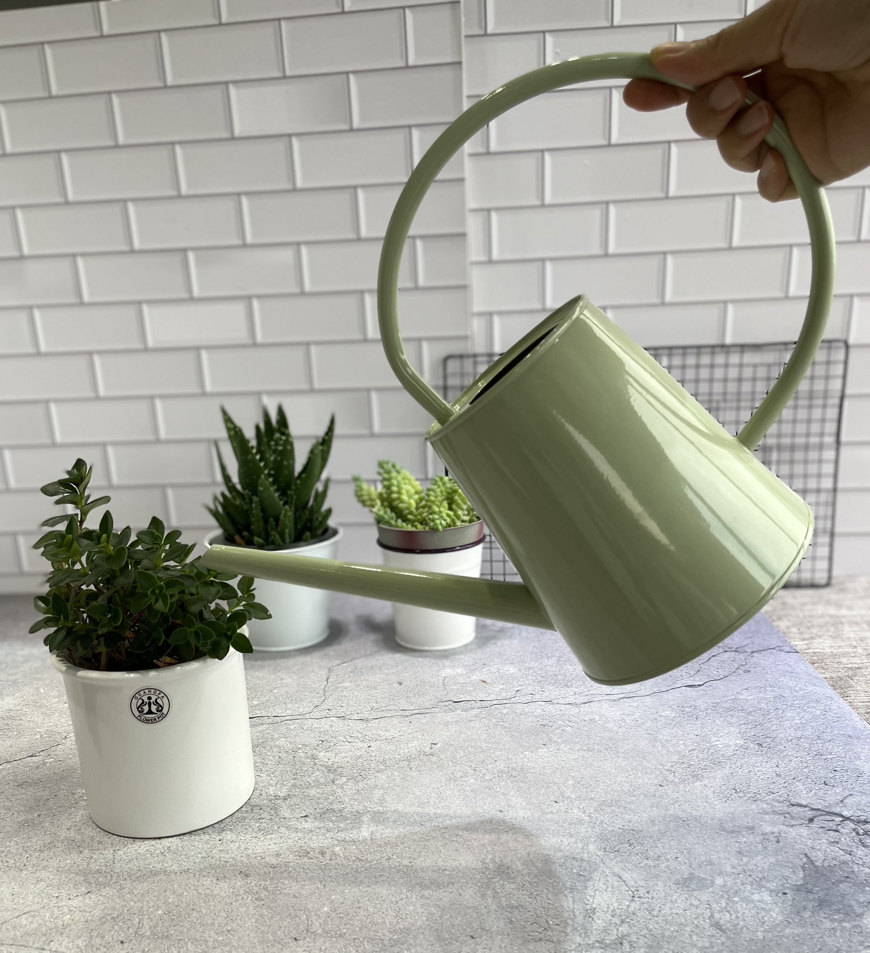long neck watering can