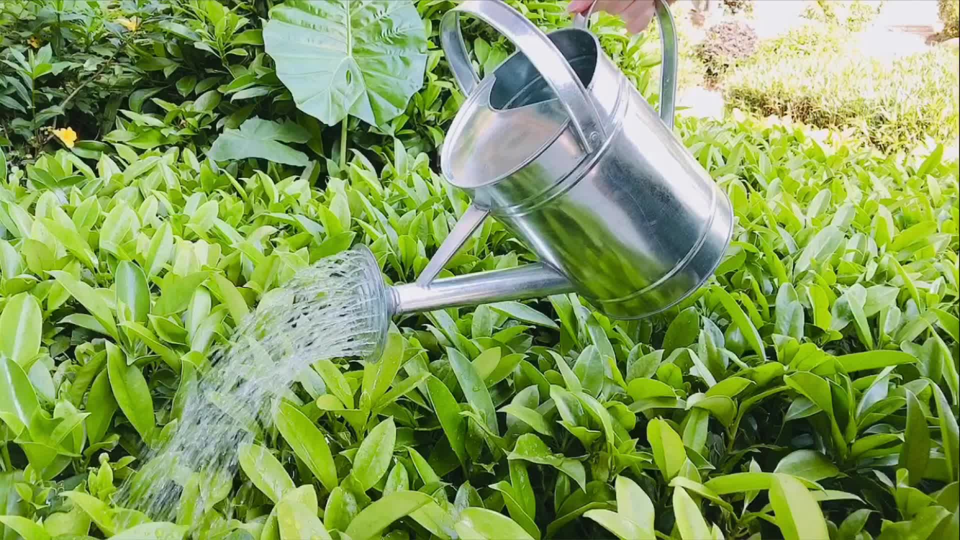 vintage watering can