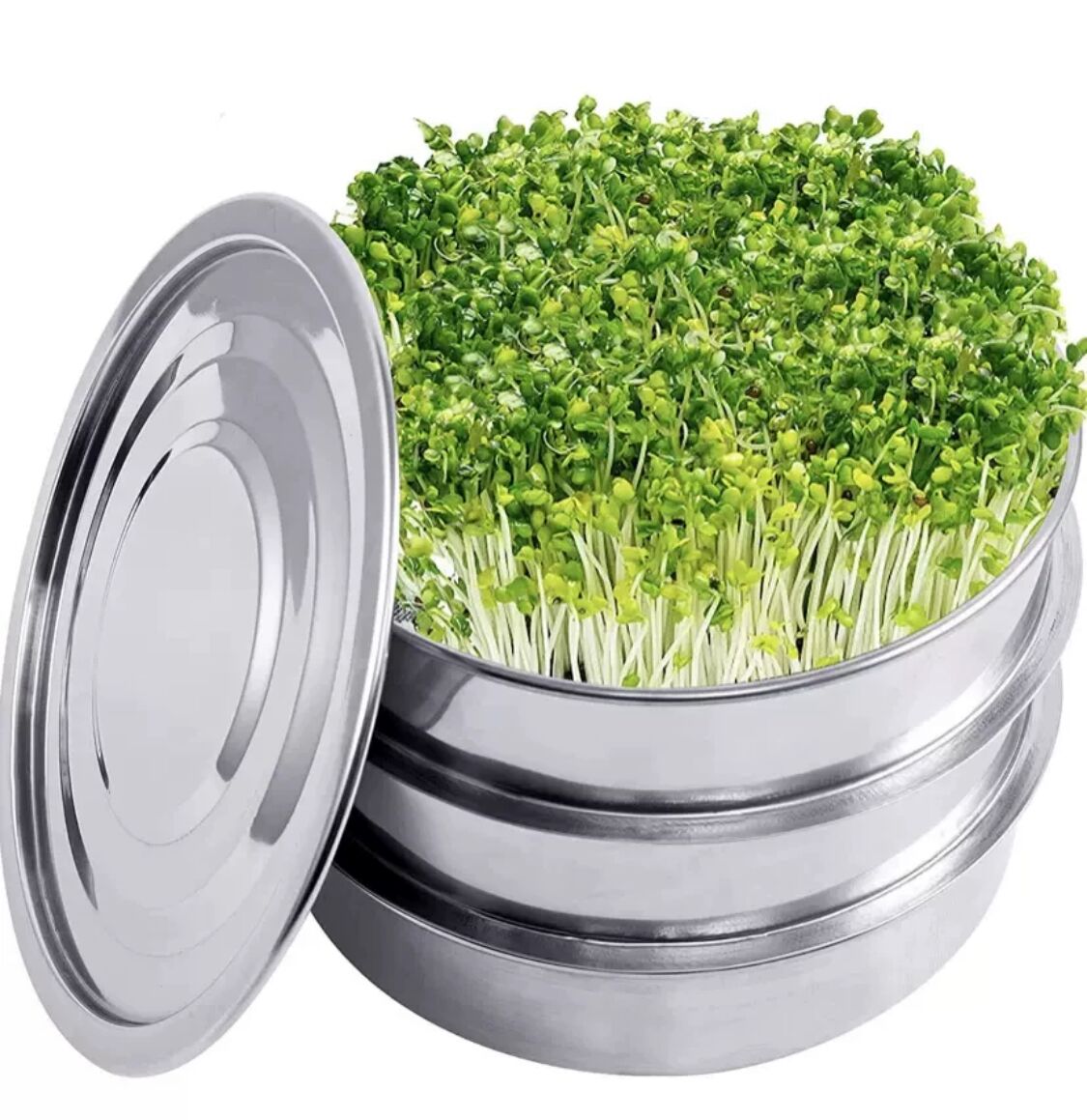 3 layers sprouting tray