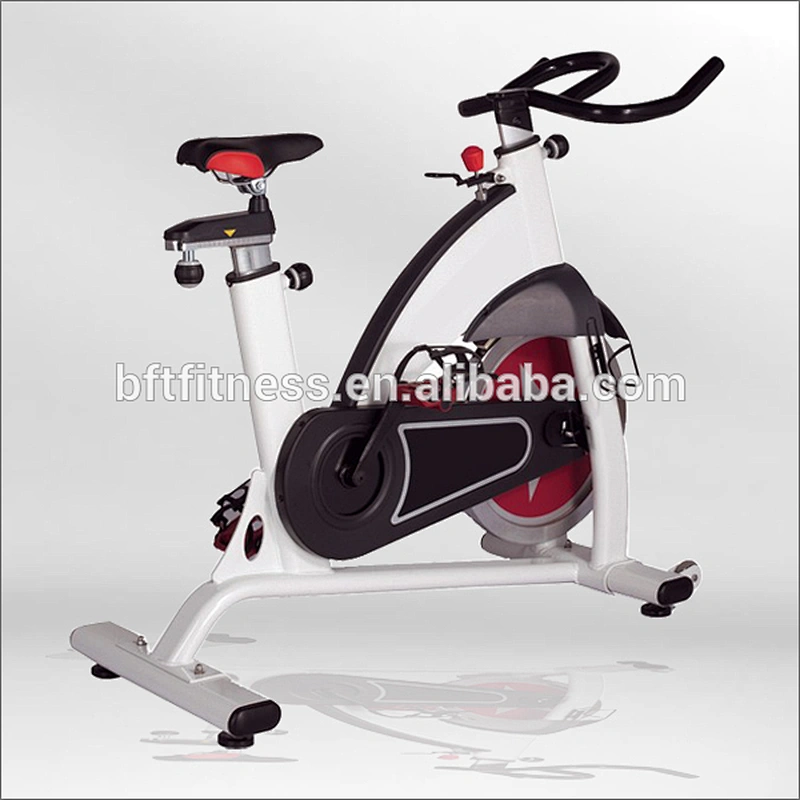 BSE01 Indoor Cycling Bike/ Indoor Bike Online for Sale