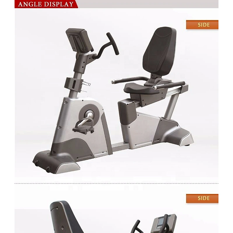 BCE102 Luxurious gym equipment Commercial recumbent bike schwin recumbent exercise bike