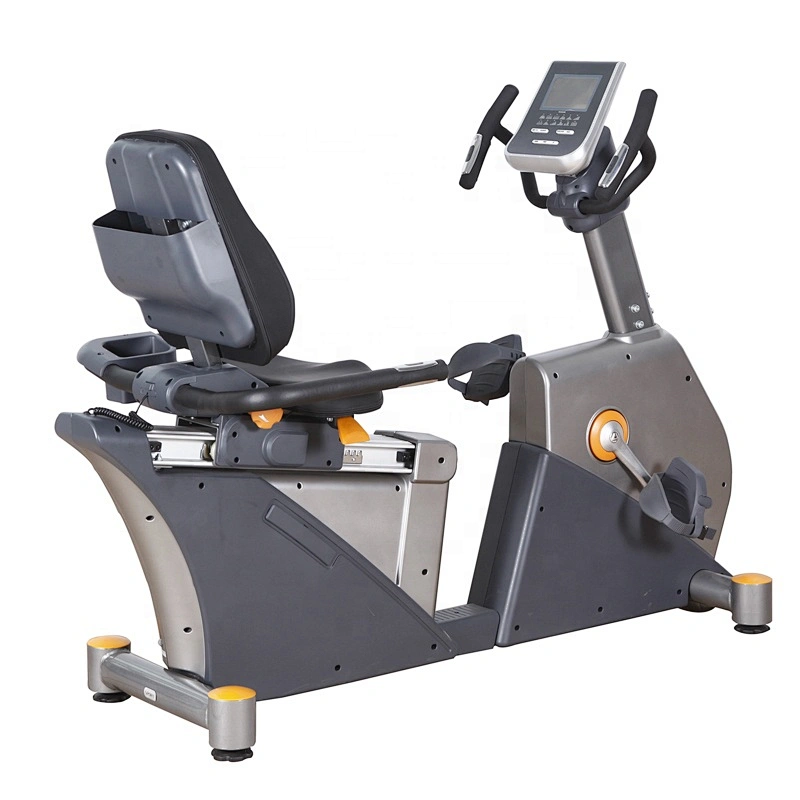 BCE102 Luxurious gym equipment Commercial recumbent bike schwin recumbent exercise bike