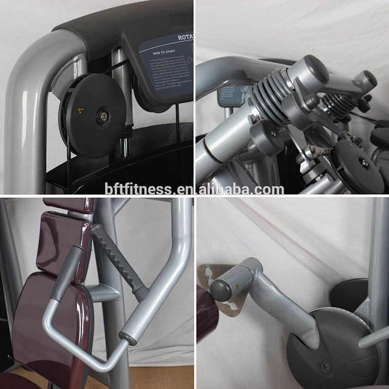 Techno Seated Leg Curl Fitness Machine/Gym Equipment For Medical Use