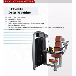 Factory sales gym equipment fitness strength machine delts machine