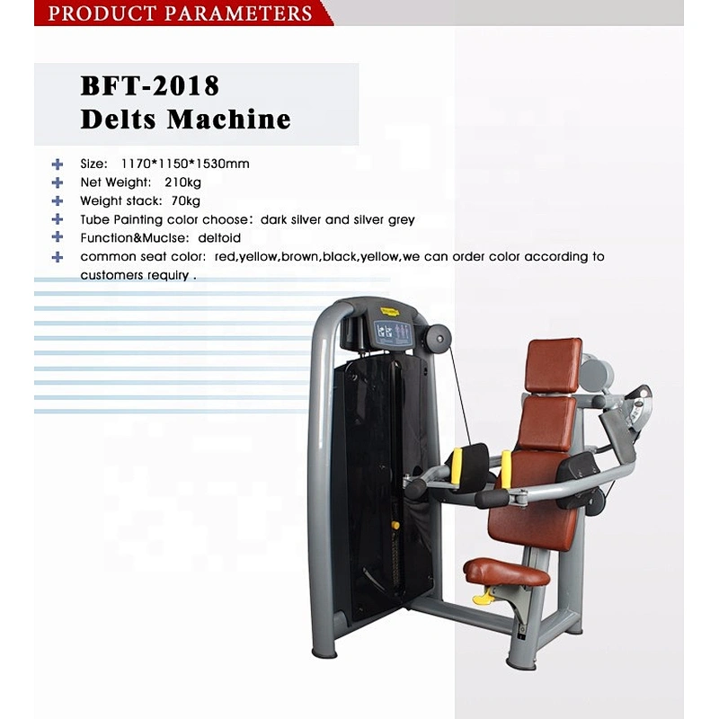 Factory sales gym equipment fitness strength machine delts machine