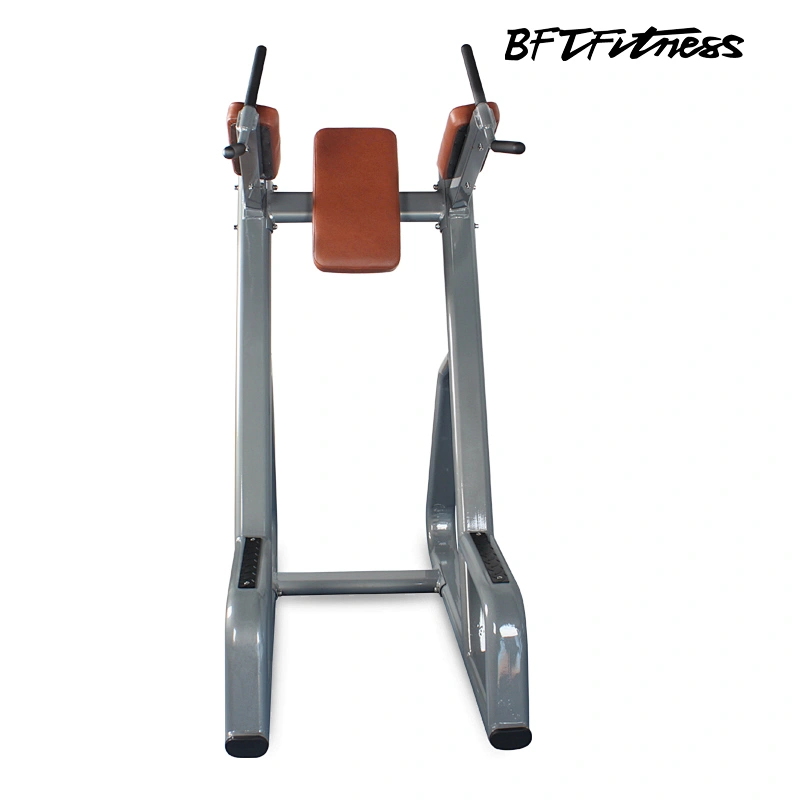 BFT-3050  Knee lift station/dip station/black chin