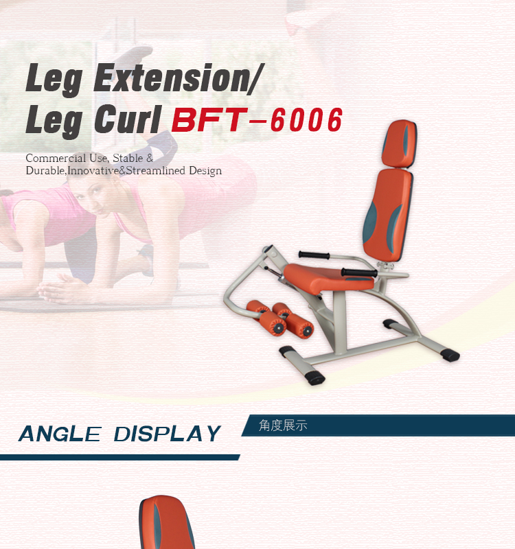 BFT6006_01.jpg