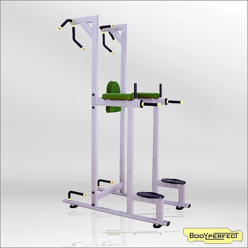Strength Training Machine Chin Up and Dip Station for sale
