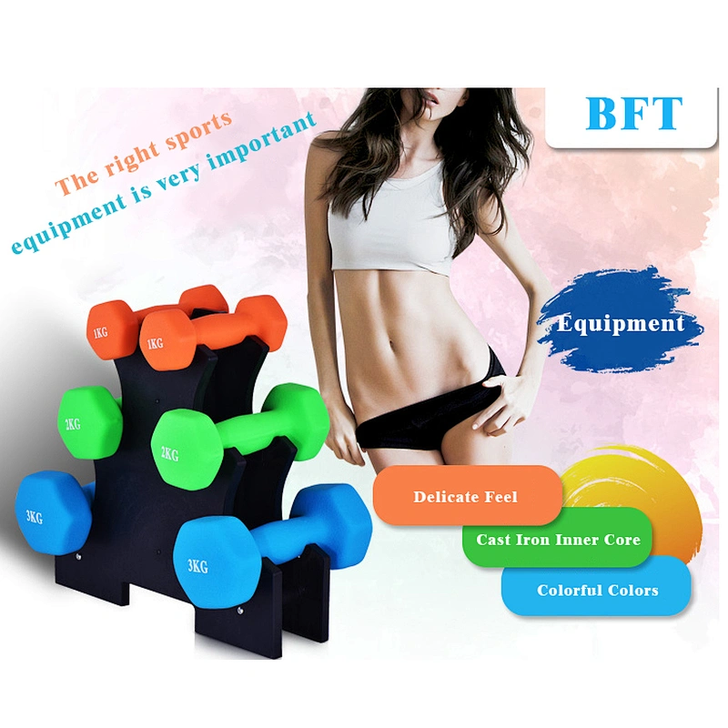 BFT Factory Sales Gym Equipment Fitness Fixed Colorful Aerobic Dumbbell Set Machine
