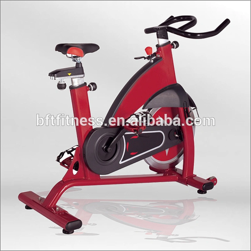 BSE01 Indoor Cycling Bike/ Indoor Bike Online for Sale