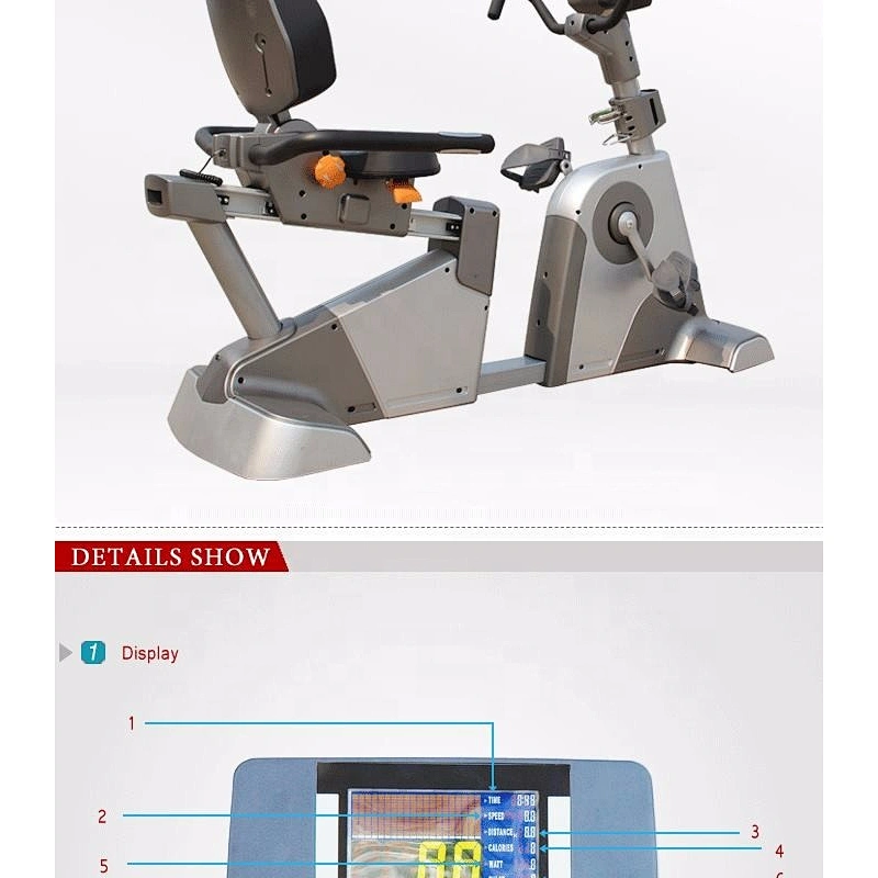 BCE102 Luxurious gym equipment Commercial recumbent bike schwin recumbent exercise bike
