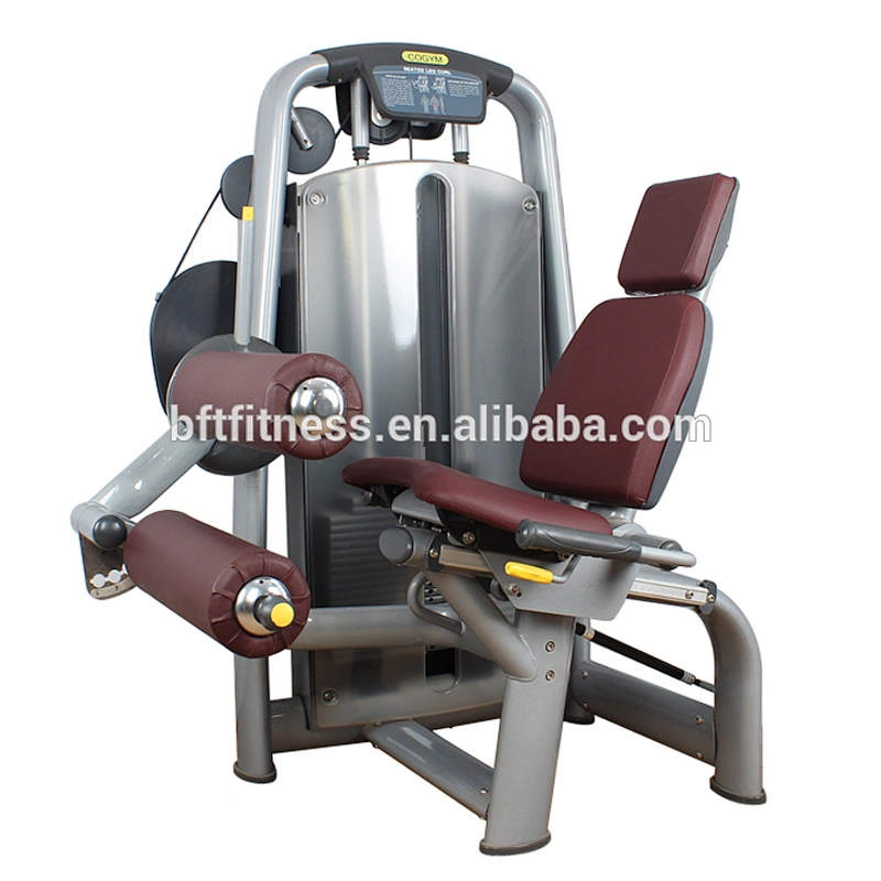 Techno Seated Leg Curl Fitness Machine/Gym Equipment For Medical Use