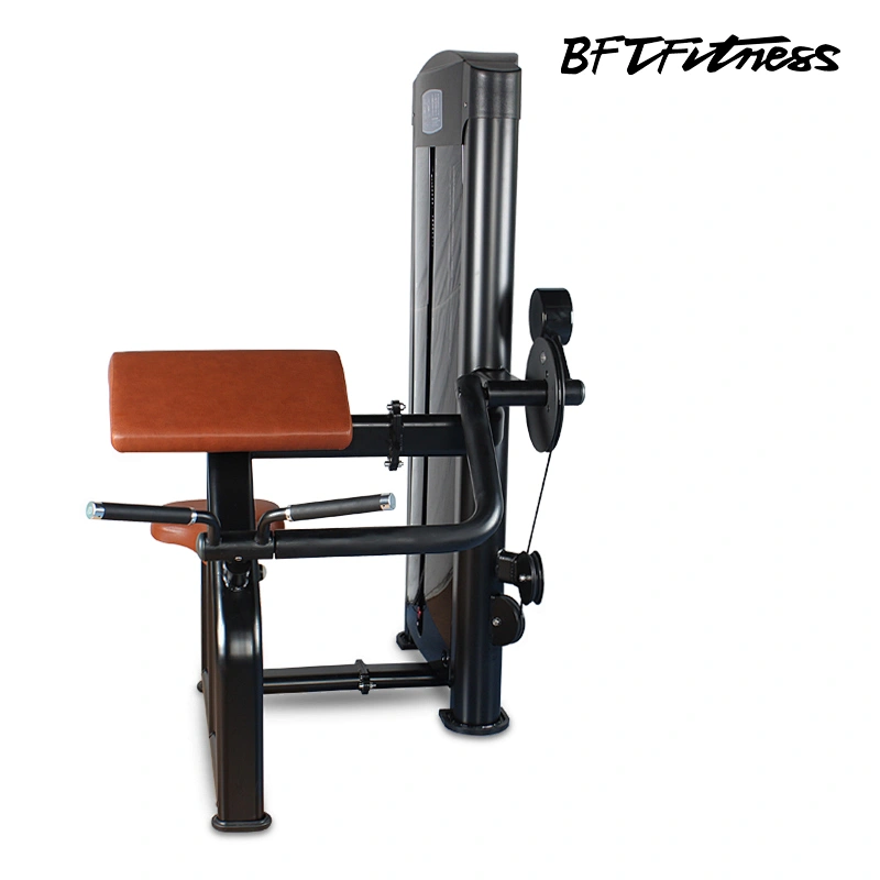 China Manufacturer Biceps Curl gym all equipment/academia equipamento
