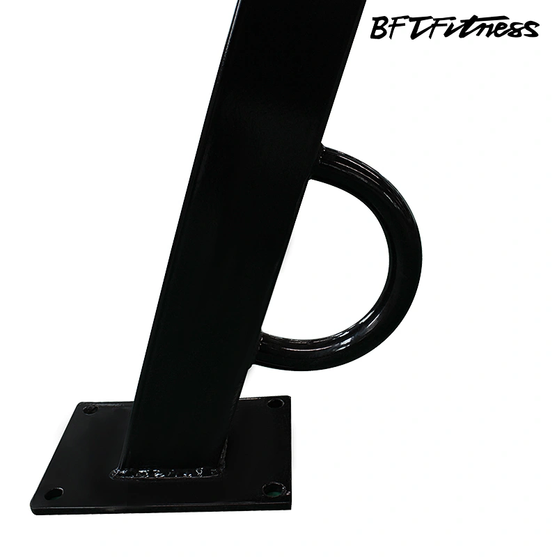 T  R X Rack For Functional Training Rack gym