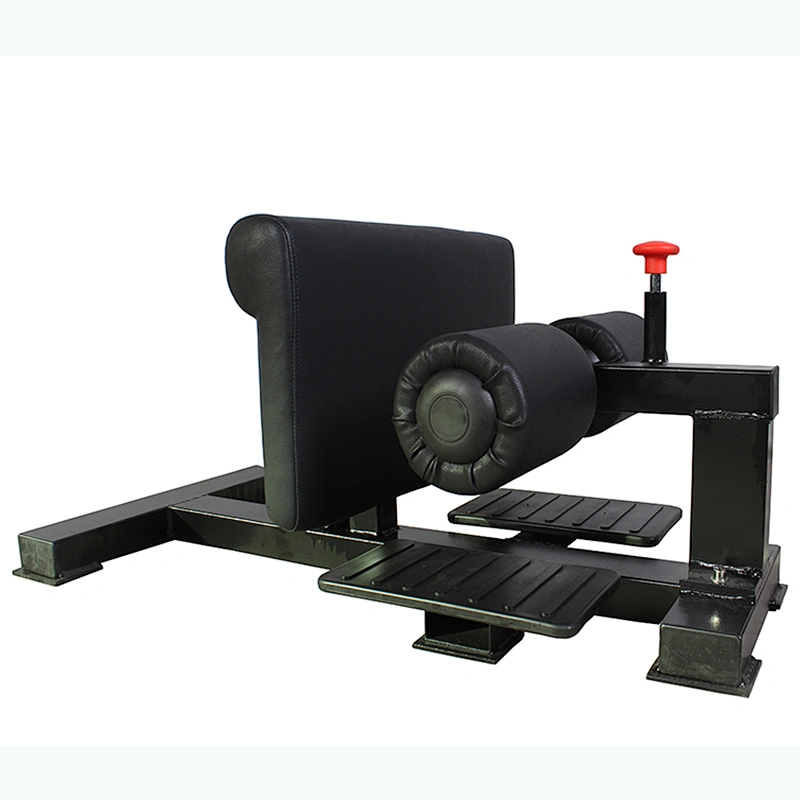 Gym fitness equipment sissy squat machine