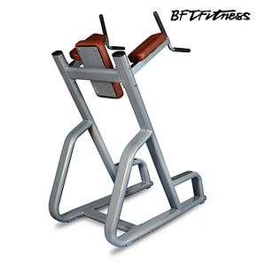 BFT-3050  Knee lift station/dip station/black chin